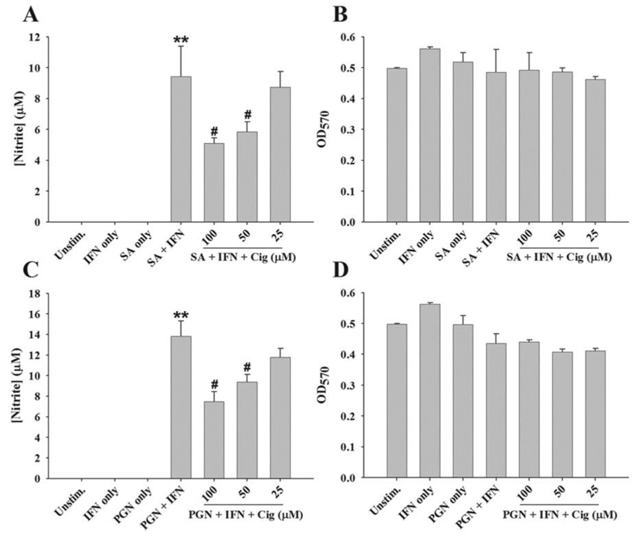 FIGURE 11