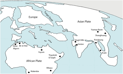 Fig. 1.