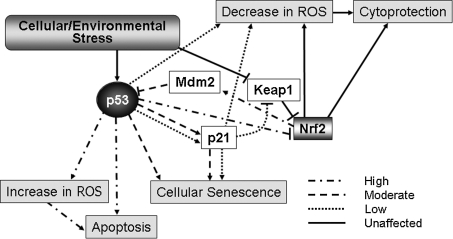 FIG. 7.