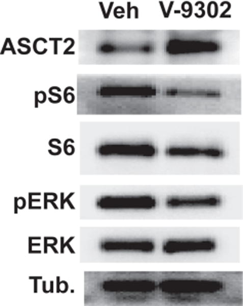 Extended Data Fig. 8