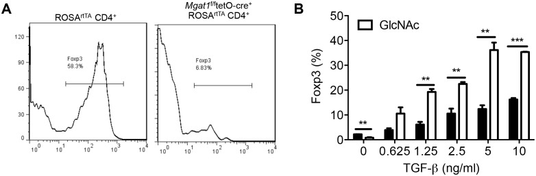 Figure 4—figure supplement 1.