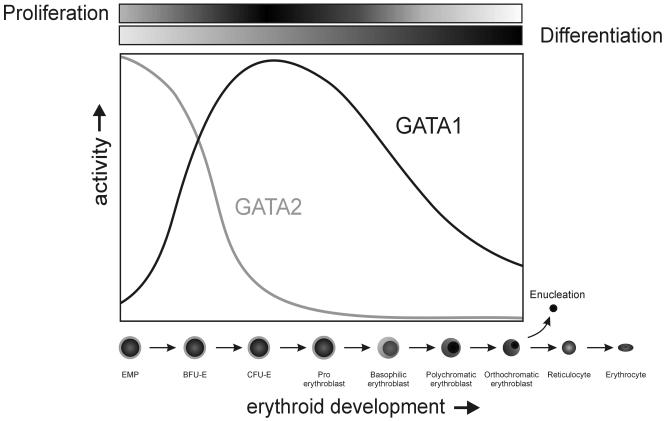 FIG. 5.